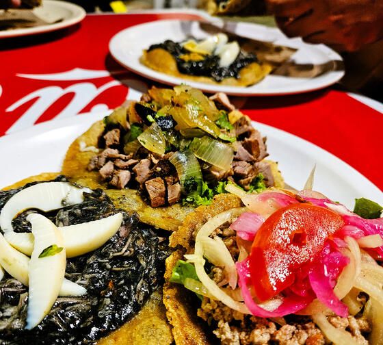 merida-meals-taco-varieties