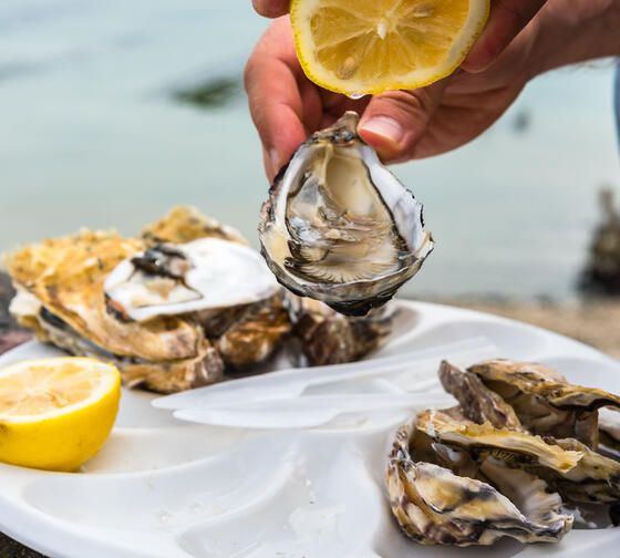 nice-meals-oysters