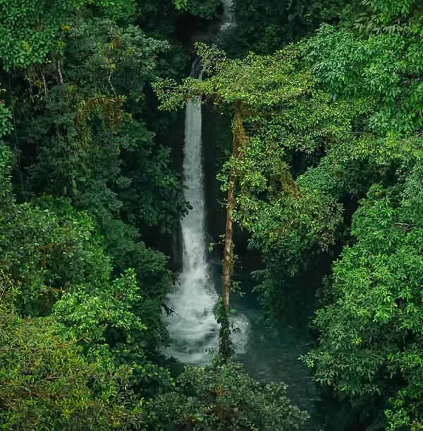 Monteverde Cloud Forest Biological Preserve costa rica.jpg