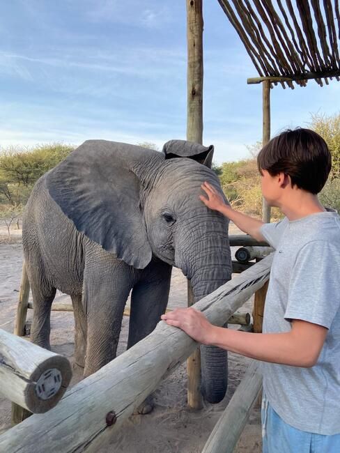 Elephant Havens 