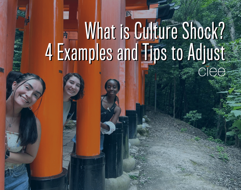 what is culture shock
