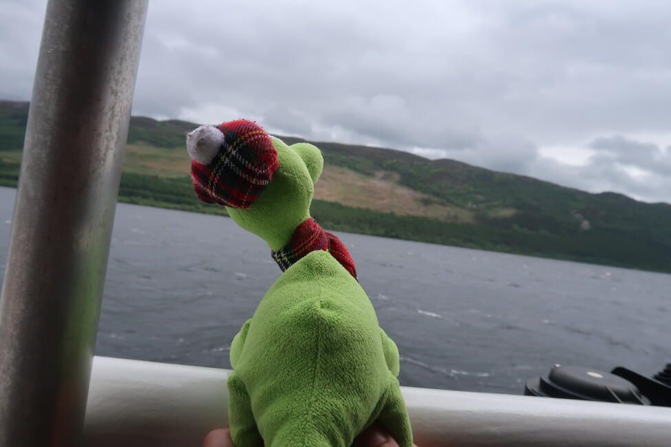 Nessie at home