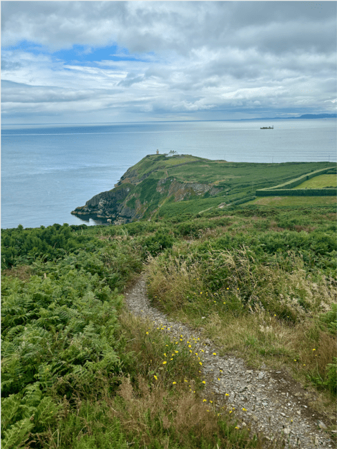 View from the summit