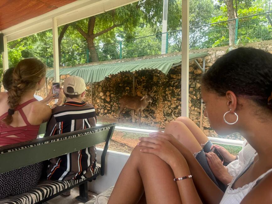 zoo ride
