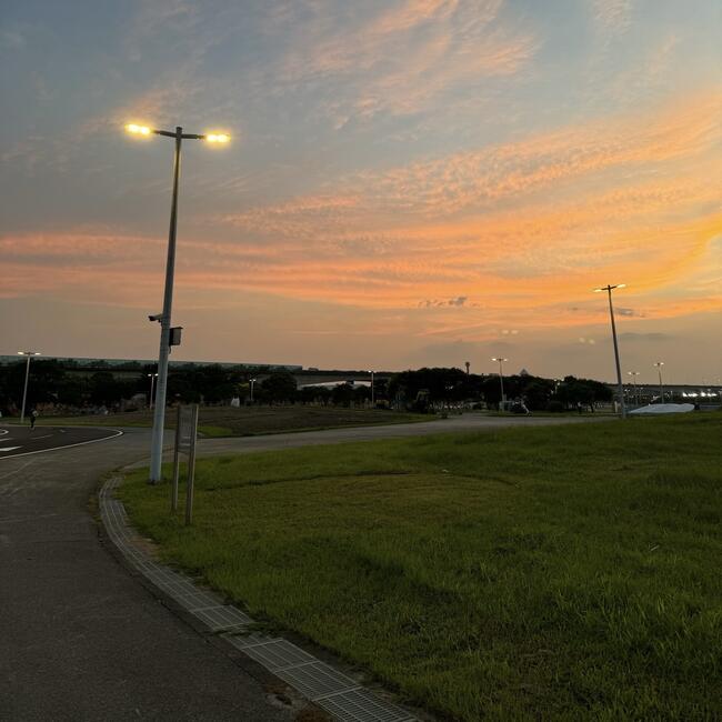 s-9027605.jpg