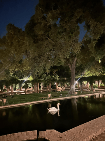 seville study abroad CIEE spain