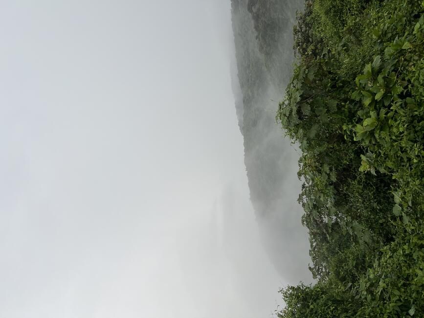 monteverde study abroad hike forest CIEE