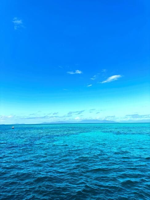 sydney study abroad CIEE ocean 
