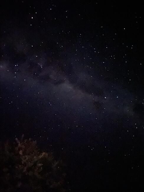 The stars above the CKGR