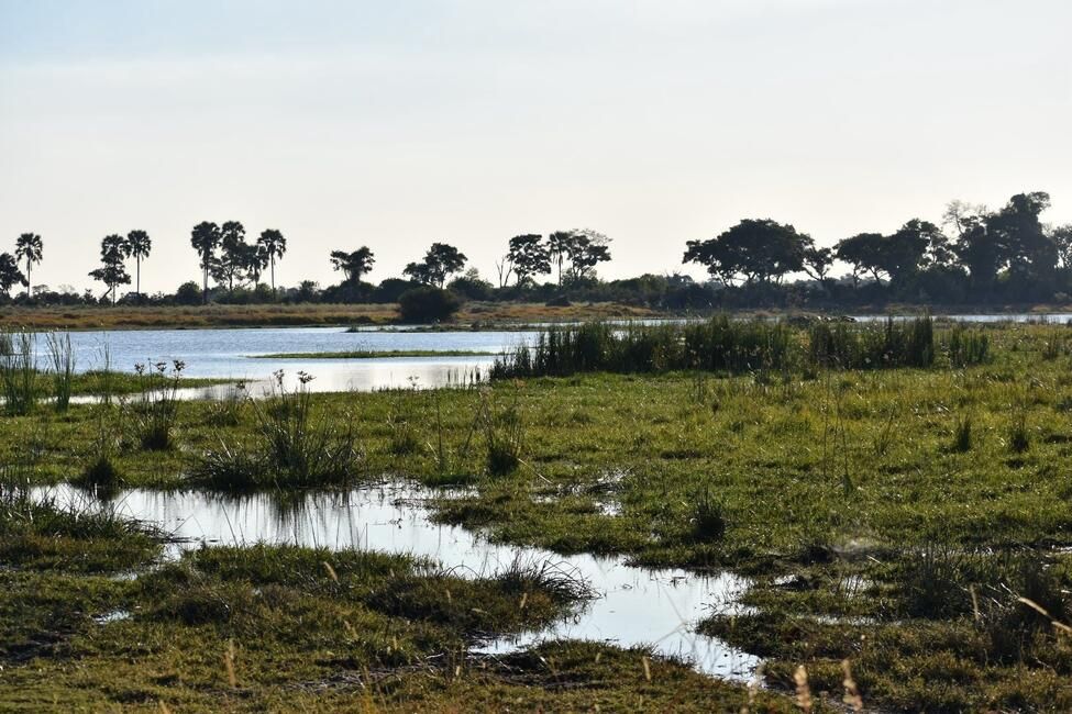 Okavango Delta
