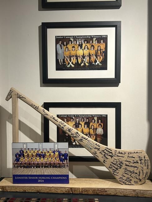Hurling Wall of Youth Teams