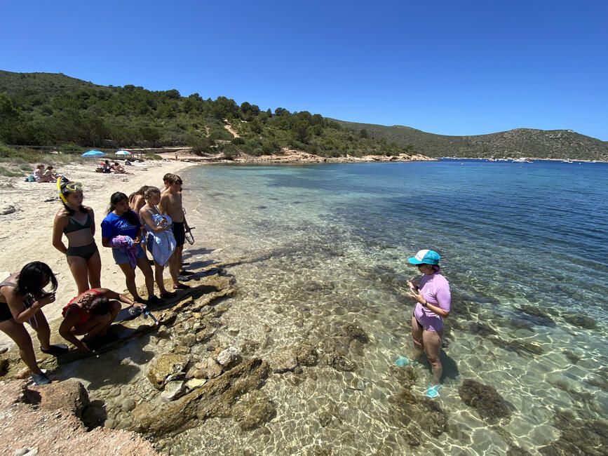 Students watch a teacher standing in water