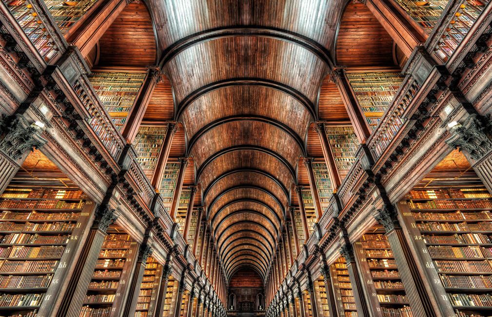 dublin library ceiling books