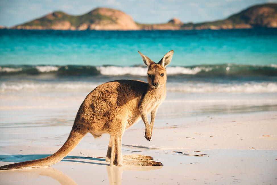 Sydney