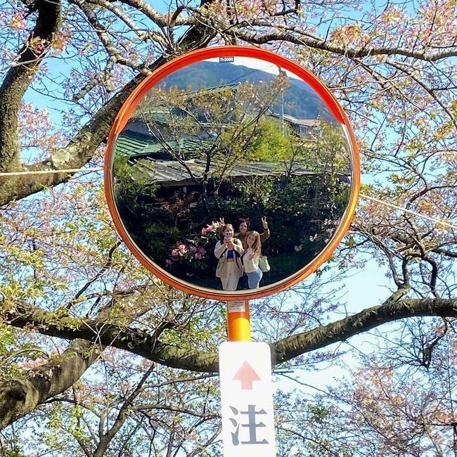 kyoto mirror reflection students abroad
