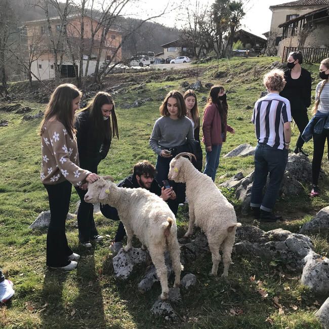 toulouse students feeding goats
