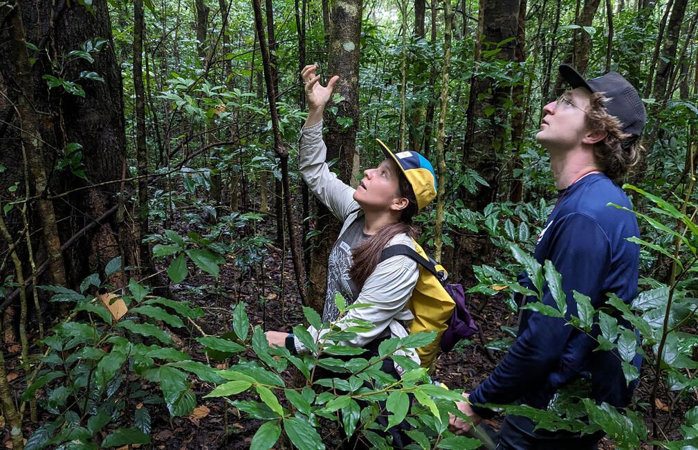 monteverde students forest research