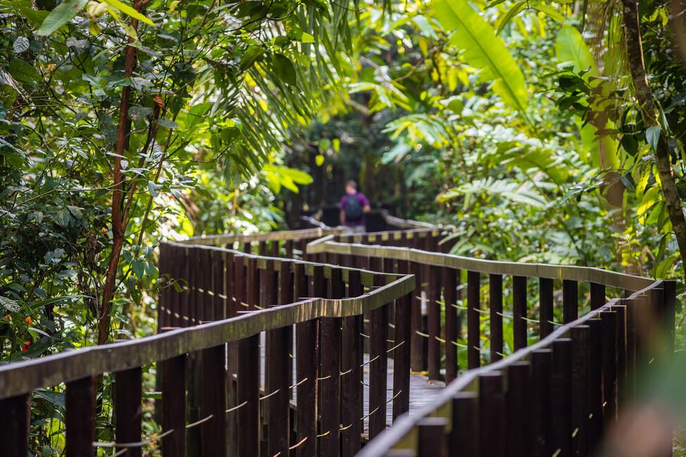 Monteverde