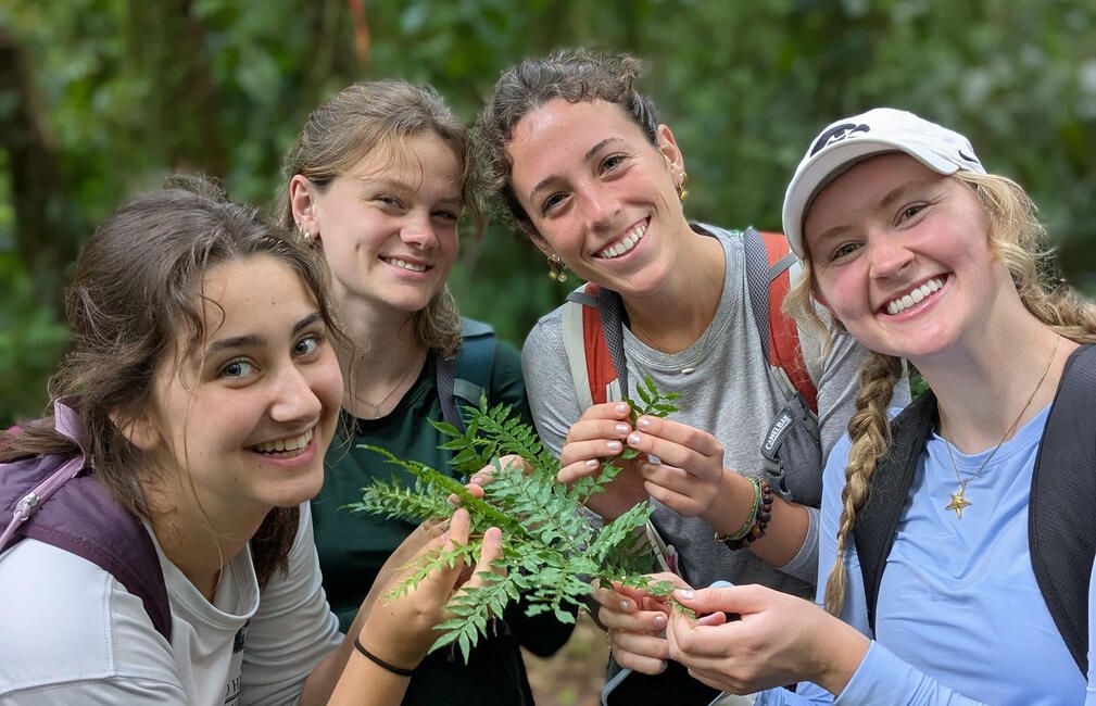 monteverde abroad environmental studies