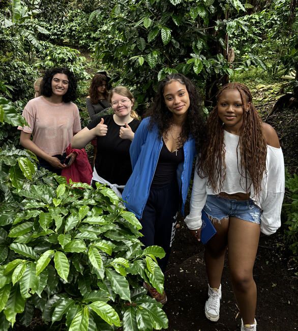 Monteverde