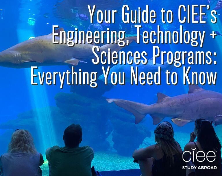 ciee engineering science technology programs new