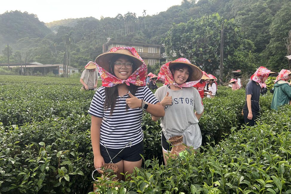 taipei-taiwan-tea-leaf-picking.jpg