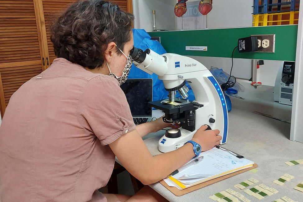 monteverde-ecology-student-lab-microscope