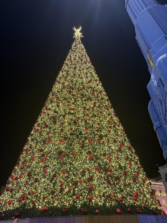 christmas tree abroad spain semester study