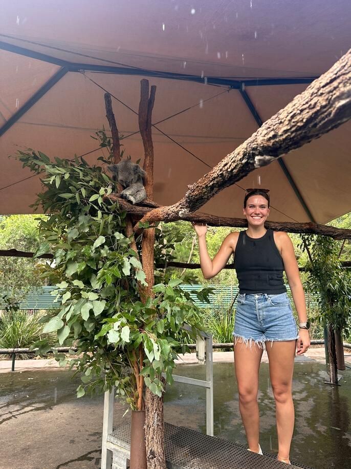 sydney study abroad CIEE australia