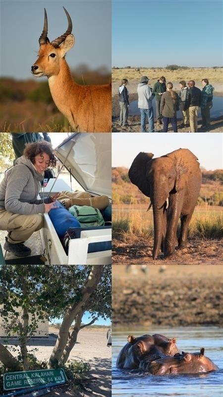 Picture of Wildlife Ecology students and some animals 