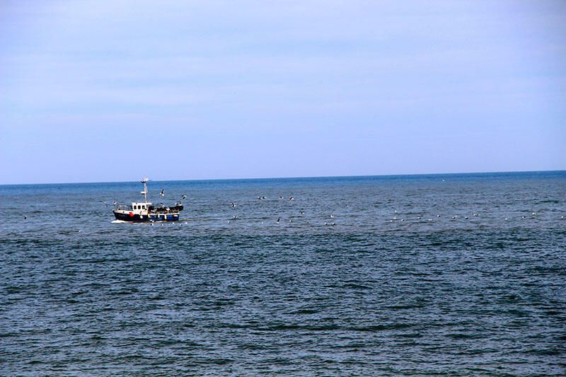 IMG_8788