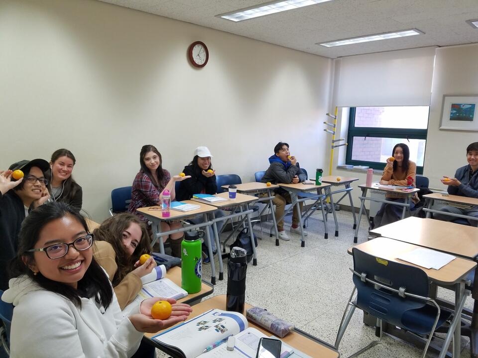 Photo for blog post Why I, as a Business Student, am Pursuing a Fulbright Research Fellowship (and Why You Should, Too).