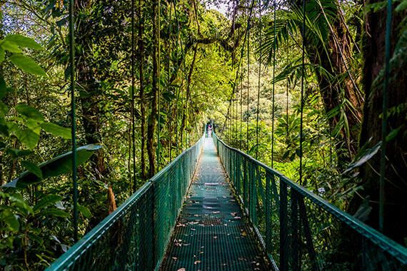 Photo for blog post 5 Ways to Step on the Wild Side of Study Abroad 