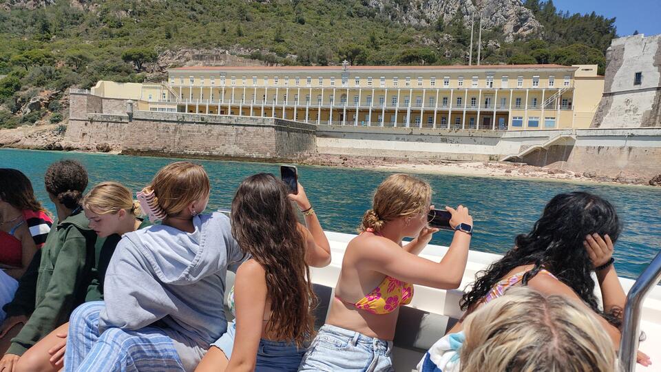 Photo for blog post Dolphins and Snorkeling - Marine Wildlife
