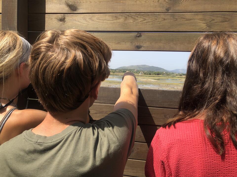 Photo for blog post Nature Walks, Village Visits and Cala Hikes in Alcúdia