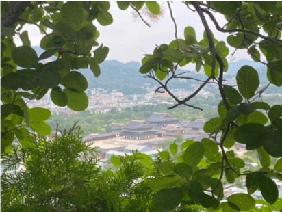 Photo for blog post Welcoming Students to Korea – Local PL Perspective