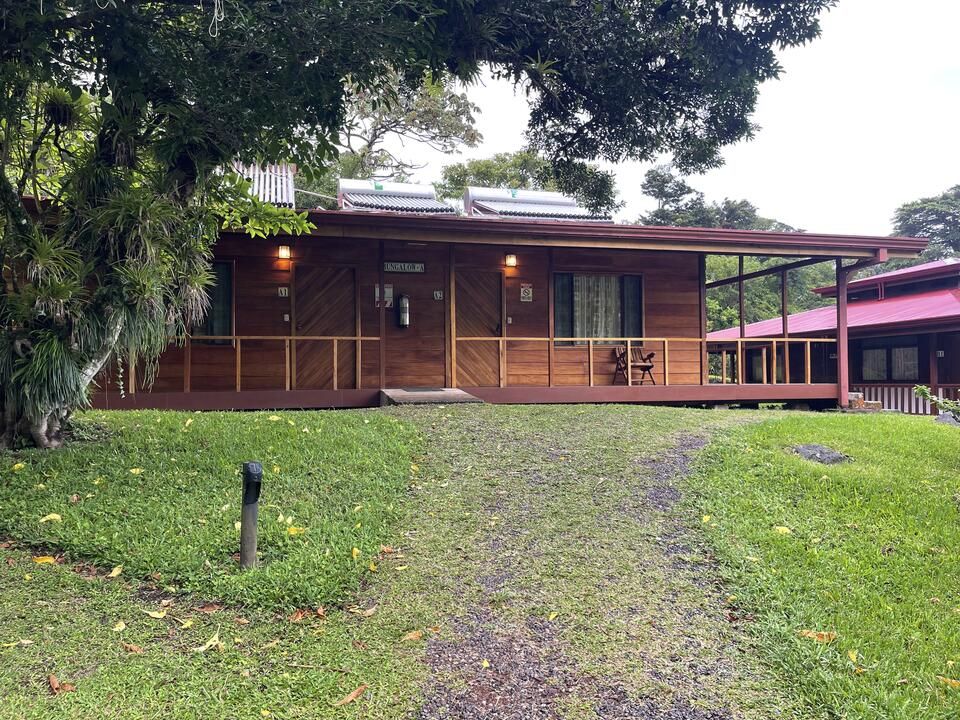 Photo for blog post Welcome to Monteverde!