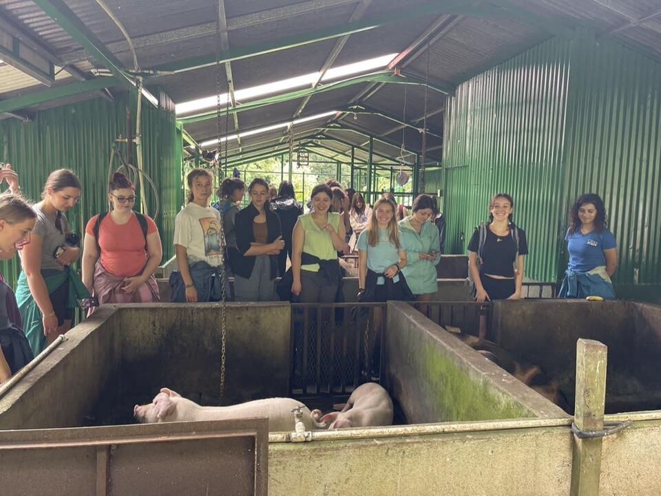 Photo for blog post Welcome to Monteverde!