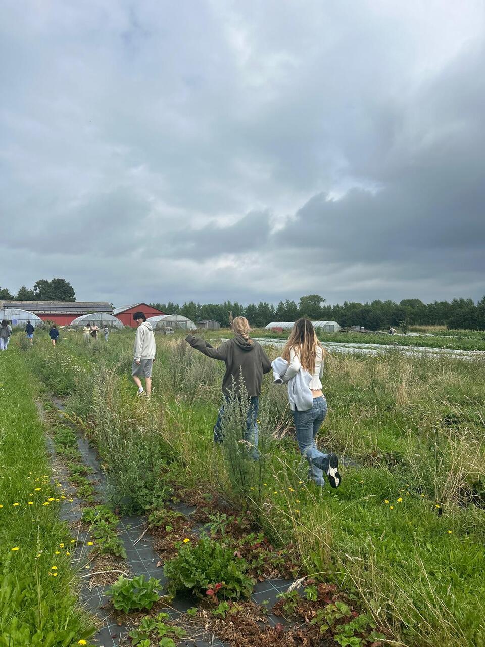 Students on Yduns Havn.