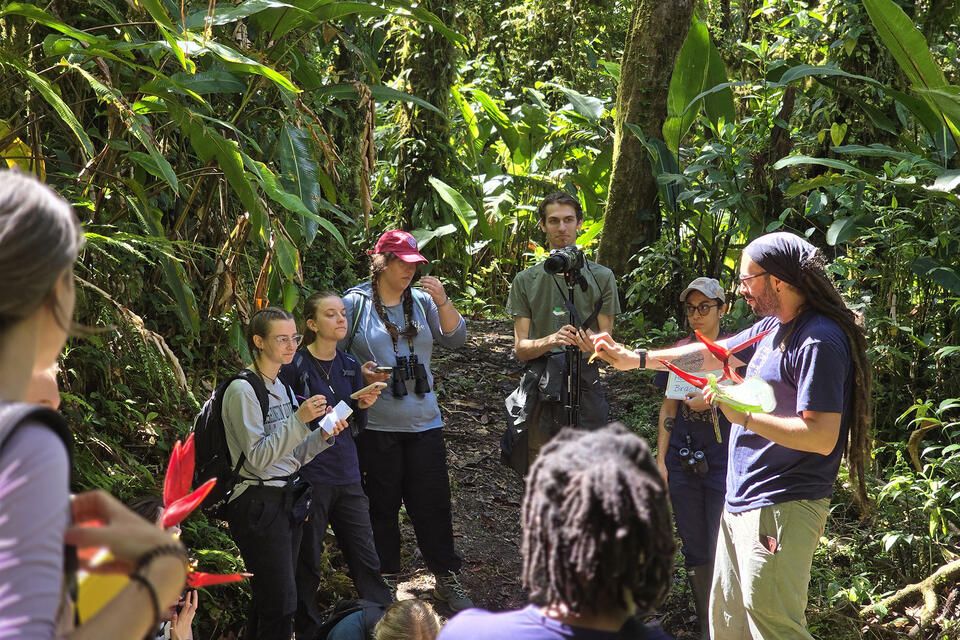 Monteverde