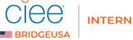 bridgeusa-intern-logo